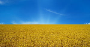 День независимости Украины